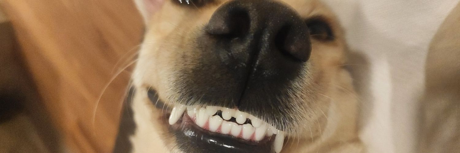 soffffsp's profile banner image