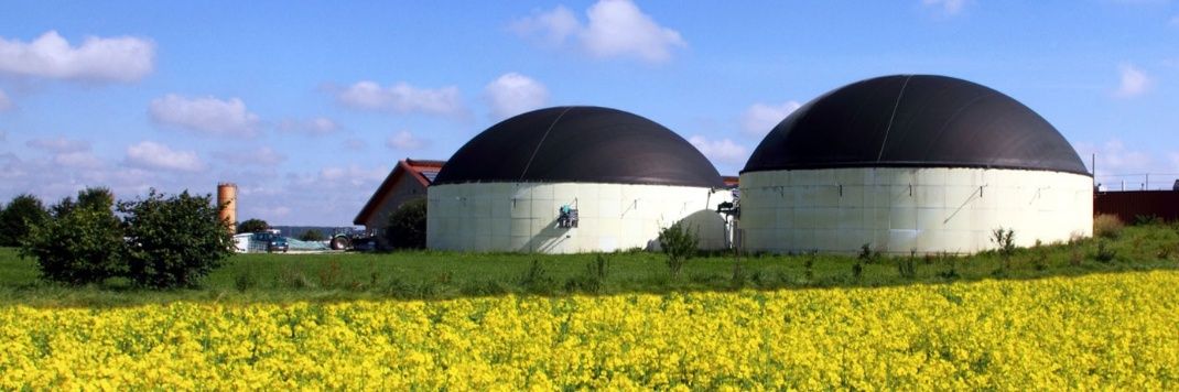 Olivier DUSART banner