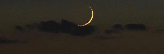 Rasul_FTP's profile banner image