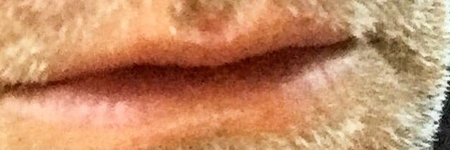 bbbbutz's profile banner image