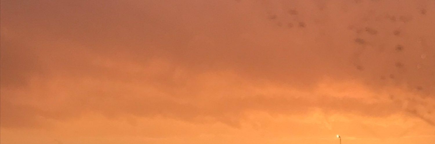 SimslynYT's profile banner image