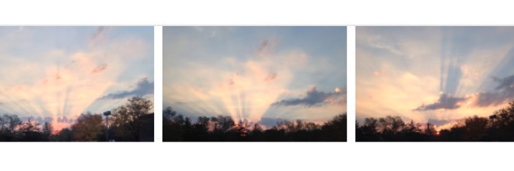 aleayora's profile banner image