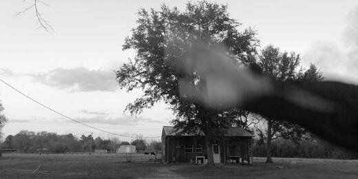 plcrecords's profile banner image