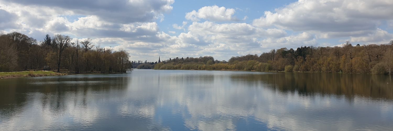 Damo the Claret banner