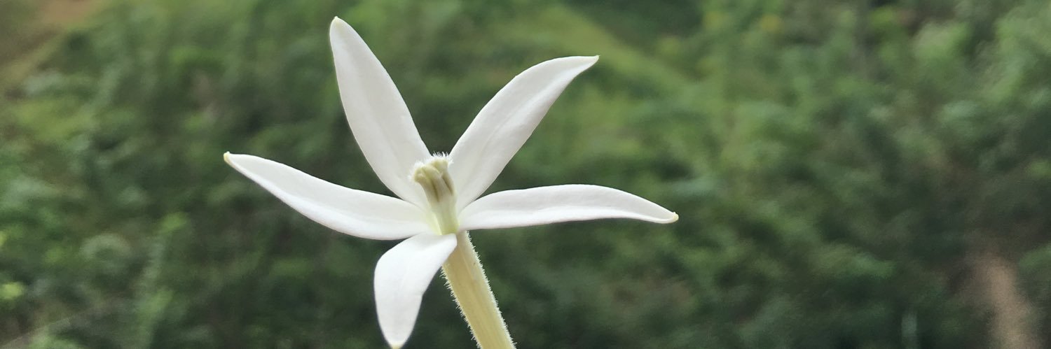 gmpm_'s profile banner image