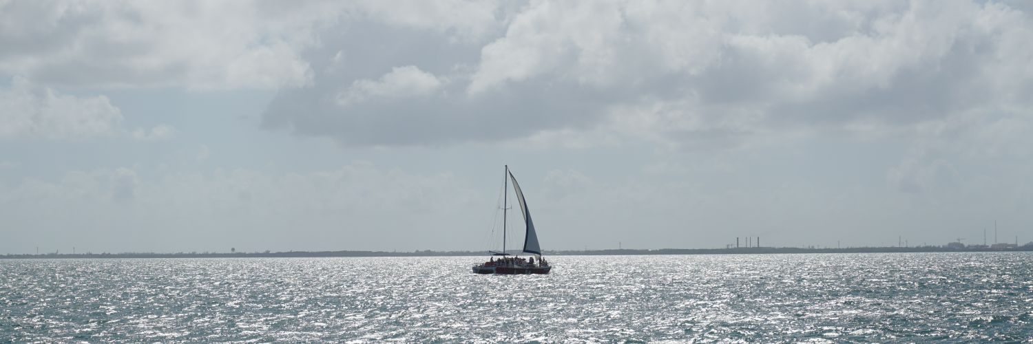 Van banner