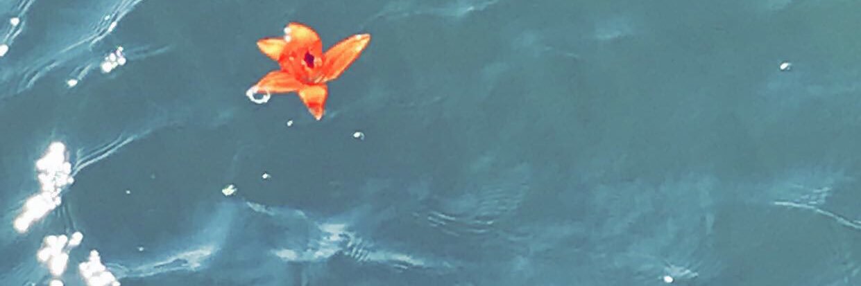 D_Tayyy's profile banner image