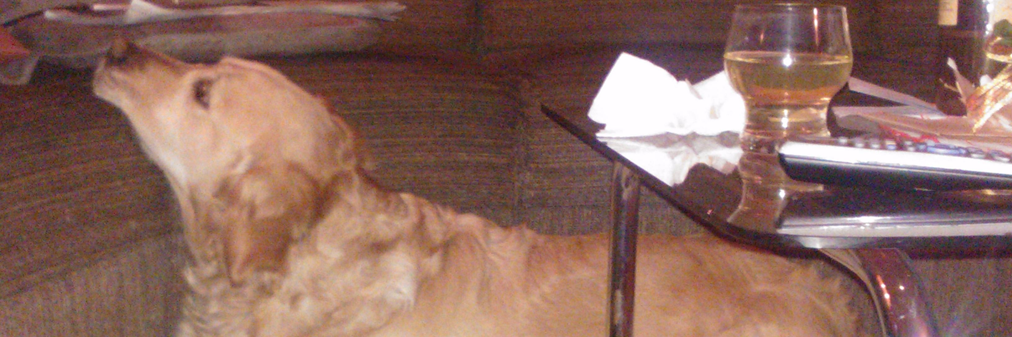 klacsrob's profile banner image