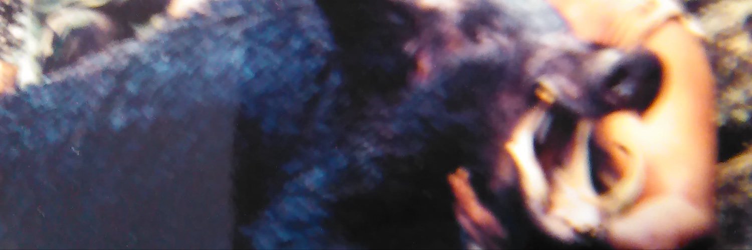 DaToeCurlah's profile banner image