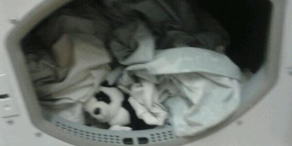 Panda_DT's profile banner image