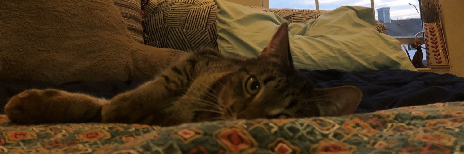 geminigremlin22's profile banner image