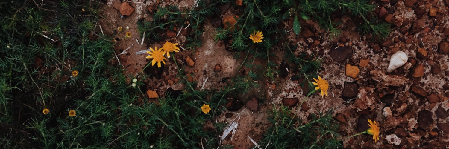 kikiichurchill's profile banner image
