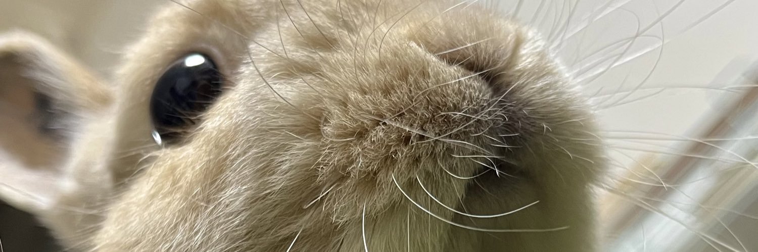 PorkJohn's profile banner image