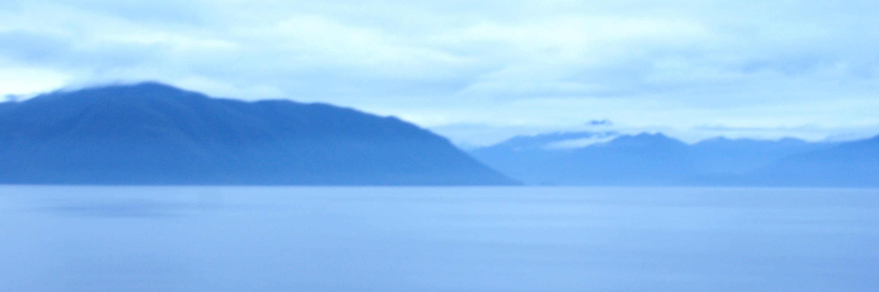 Doug Naegele banner