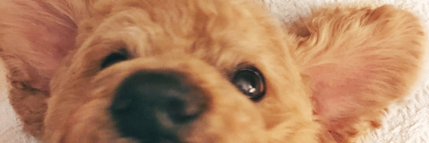 riley_cham's profile banner image