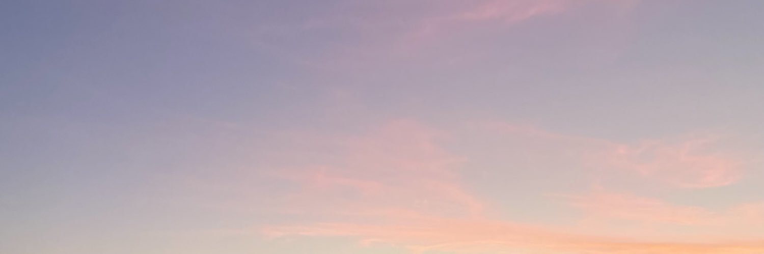 itssfrannii's profile banner image
