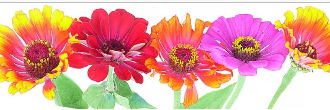 Marla Brown banner