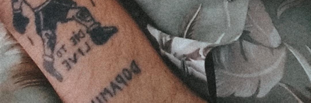 aoronaa's profile banner image