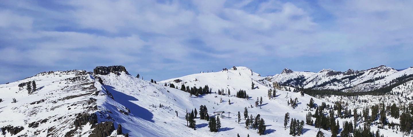 Scott Penberthy banner