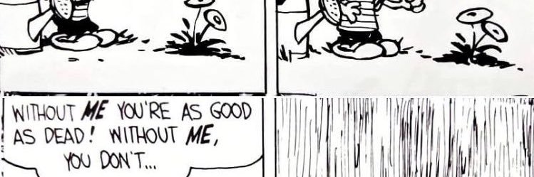 bugfrombutte's profile banner image