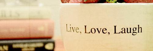 Lifepopper banner