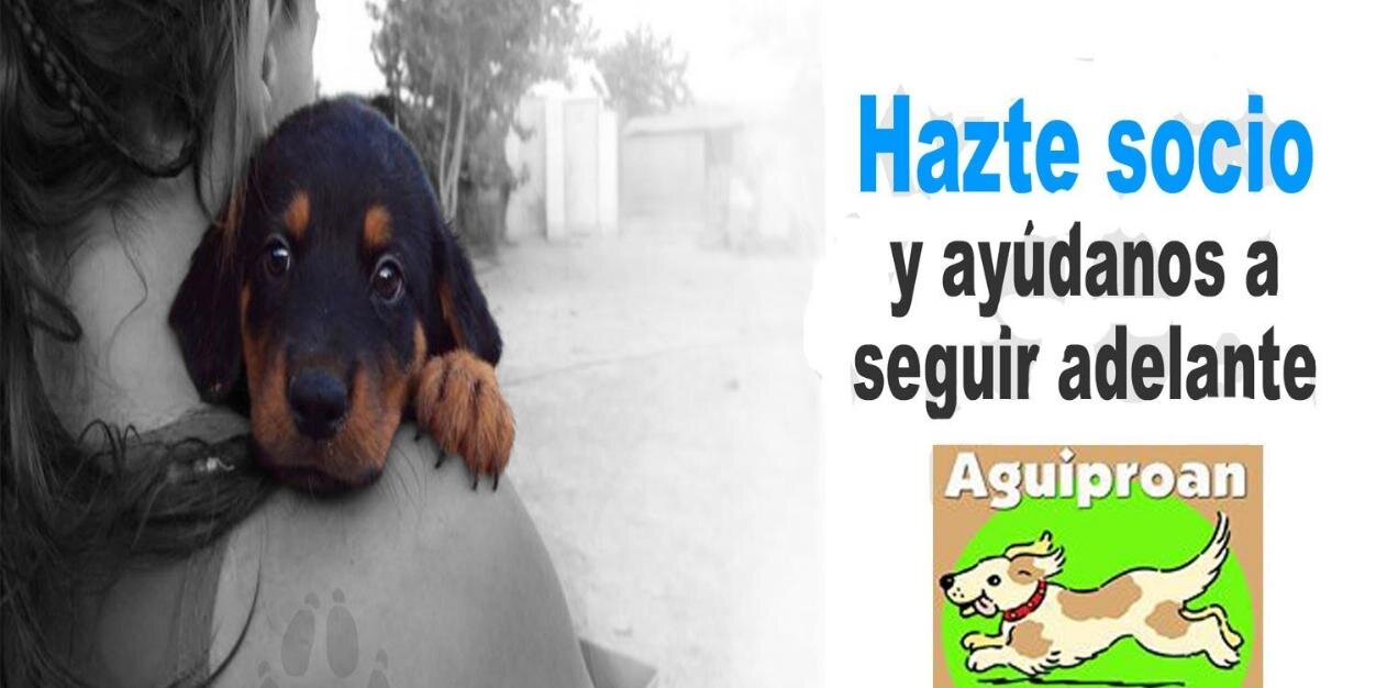 aguiproanprot14's profile banner image