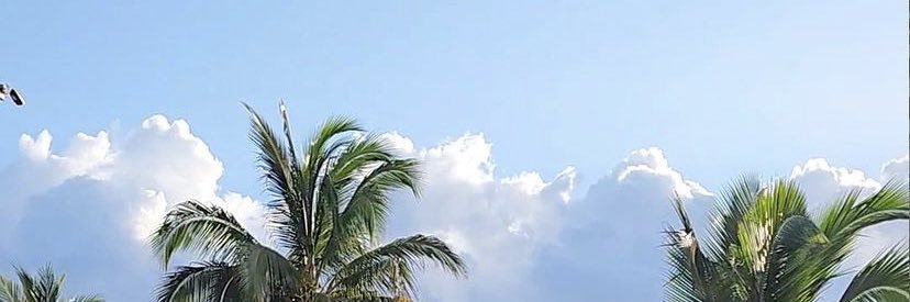 Le1996Ale's profile banner image