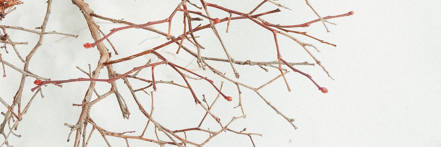 decentralizedu's profile banner image