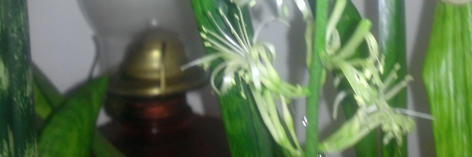 Fayvah's profile banner image