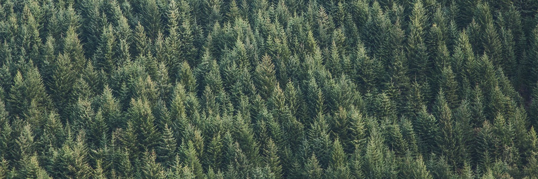 Graham Wardle banner