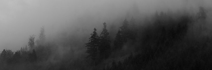 LeonardoKIF's profile banner image