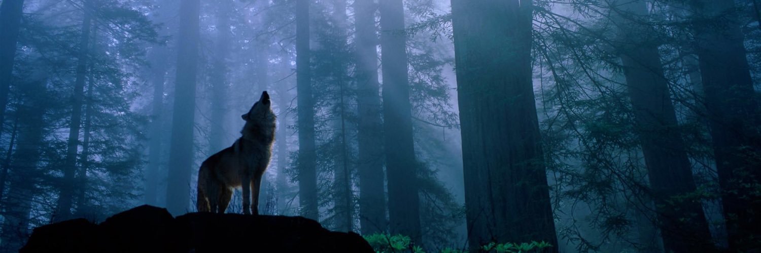 Zay_Ton's profile banner image