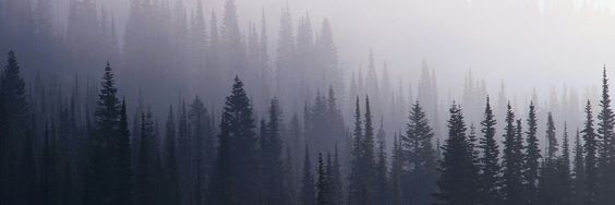 leandrog_81's profile banner image