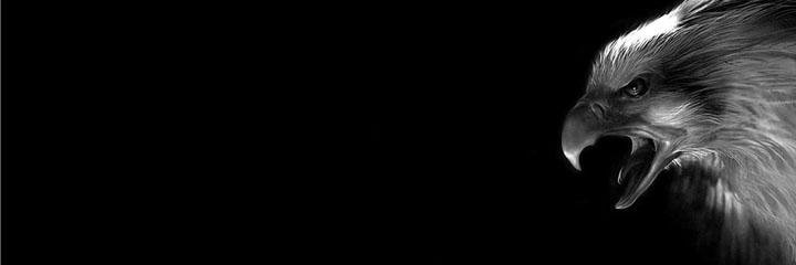 Uᴛᴋᴜ Çıɴᴀʀ banner