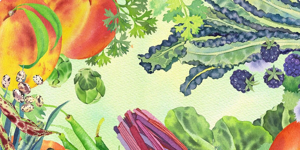 Bounty from the Box banner