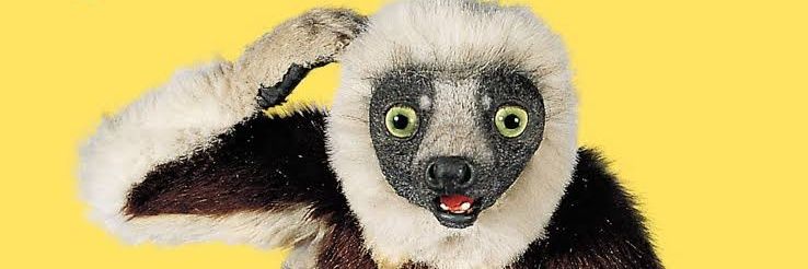 Gabriel Corrêa banner