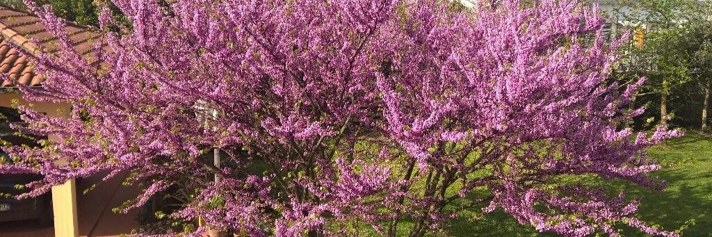 NoiPerleDonne's profile banner image