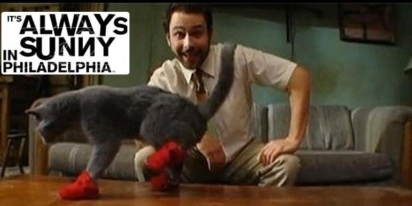 Charlie Kelly banner