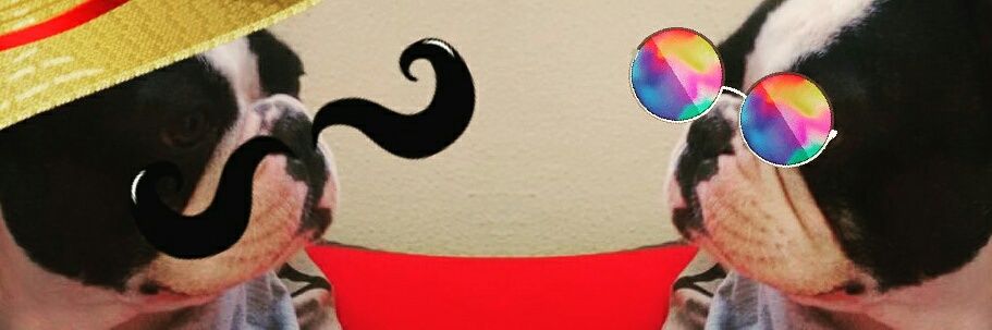 rennecostaduart's profile banner image