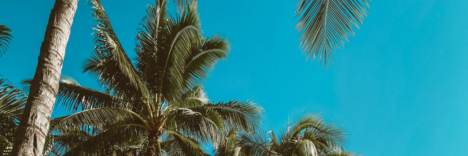 Bullzeyy's profile banner image