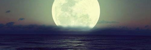Felipe Mello banner