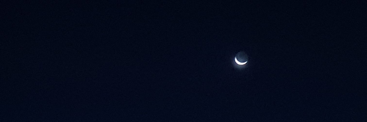 oiguimma's profile banner image