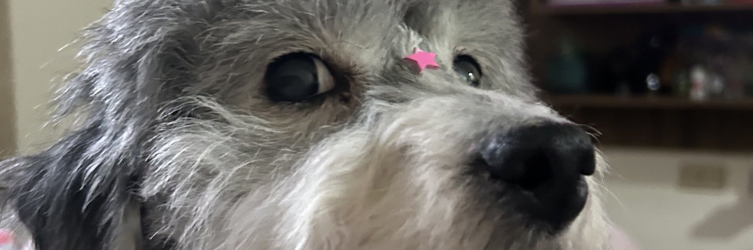 jhuskroch's profile banner image