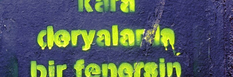 Efe banner