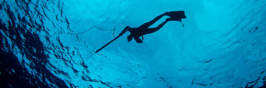 Clarke Gayford banner