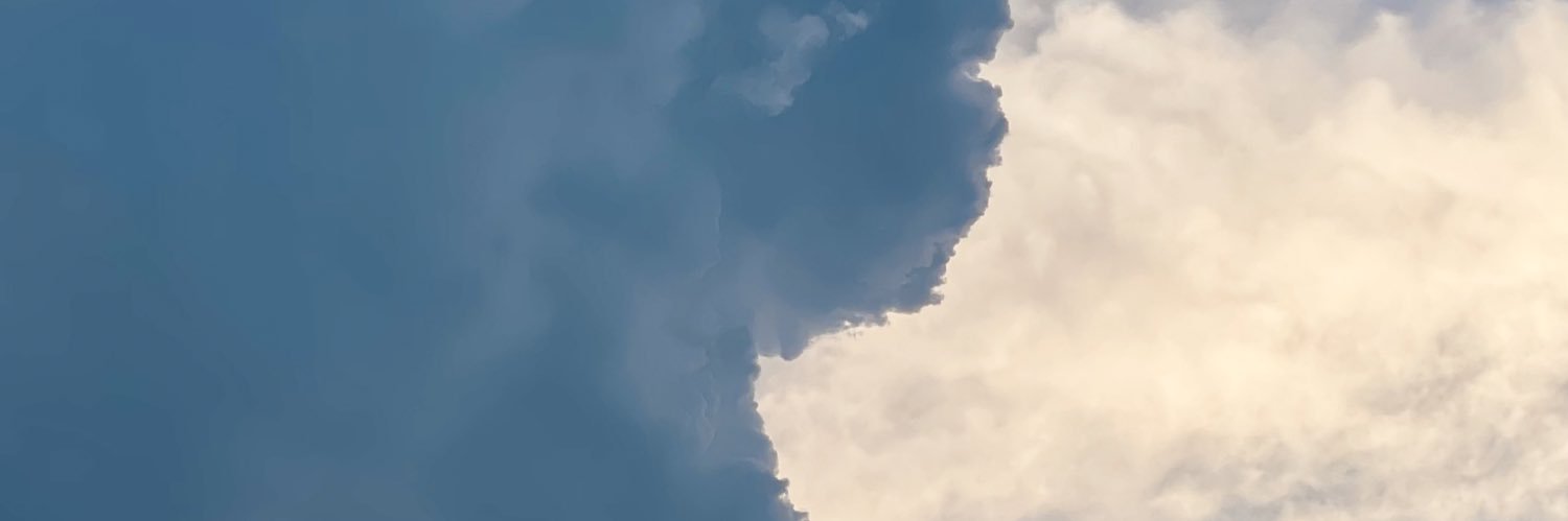 Rie Nemoto / 根本 理恵 banner