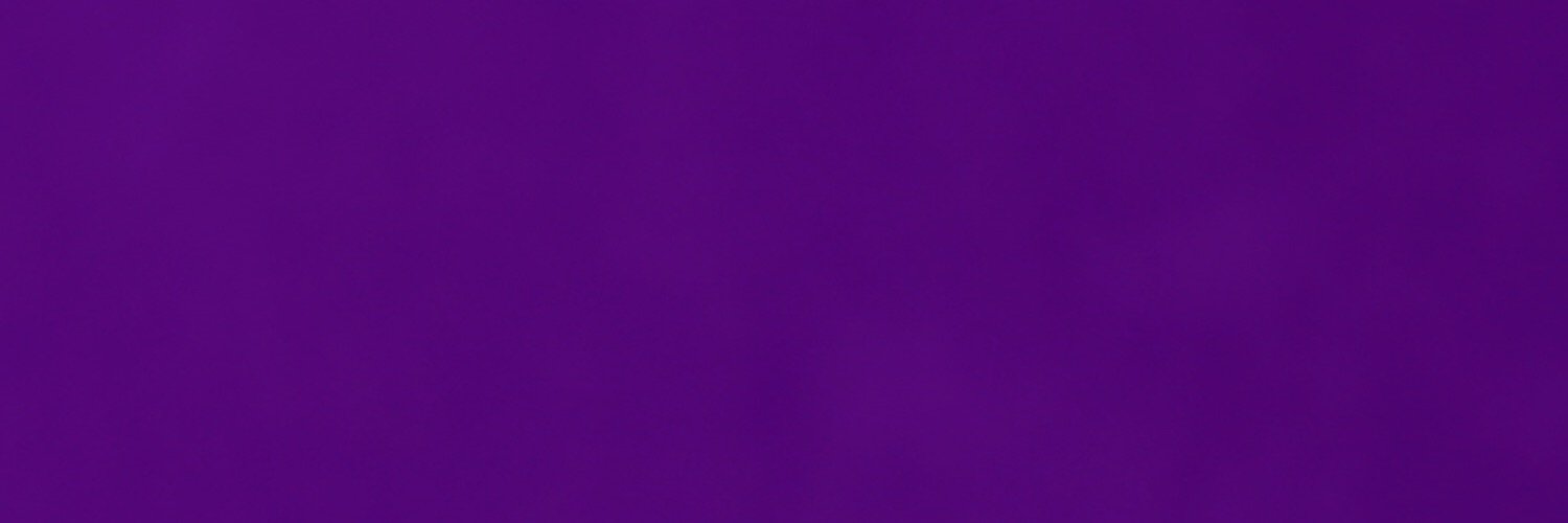 TheTaylorChicks's profile banner image