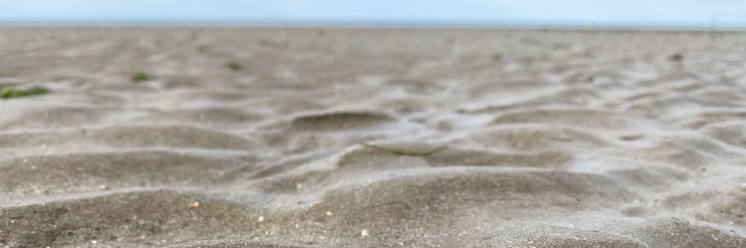 Lainiemn's profile banner image