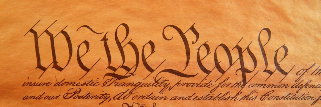 realwallydog's profile banner image