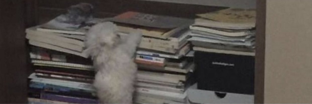 engmokaabdallah's profile banner image